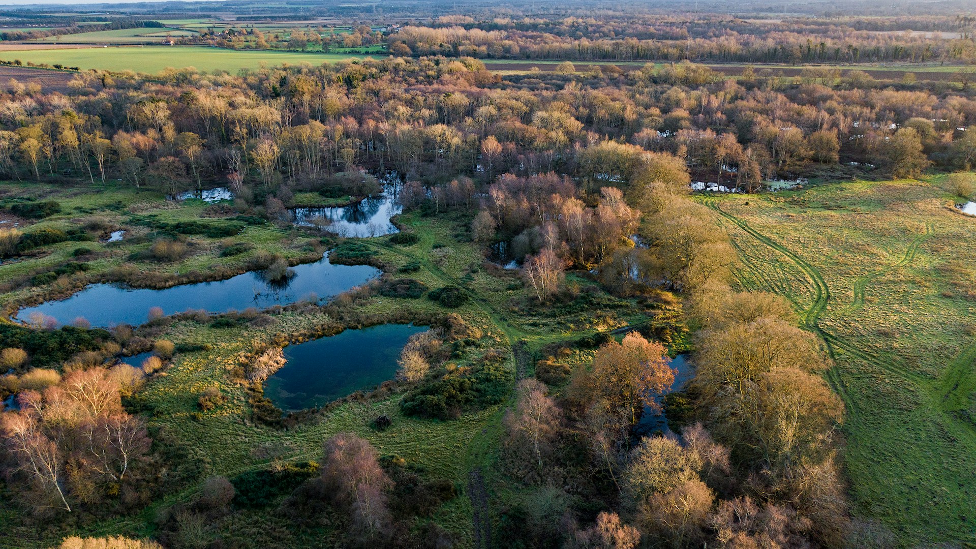 Westacre estate