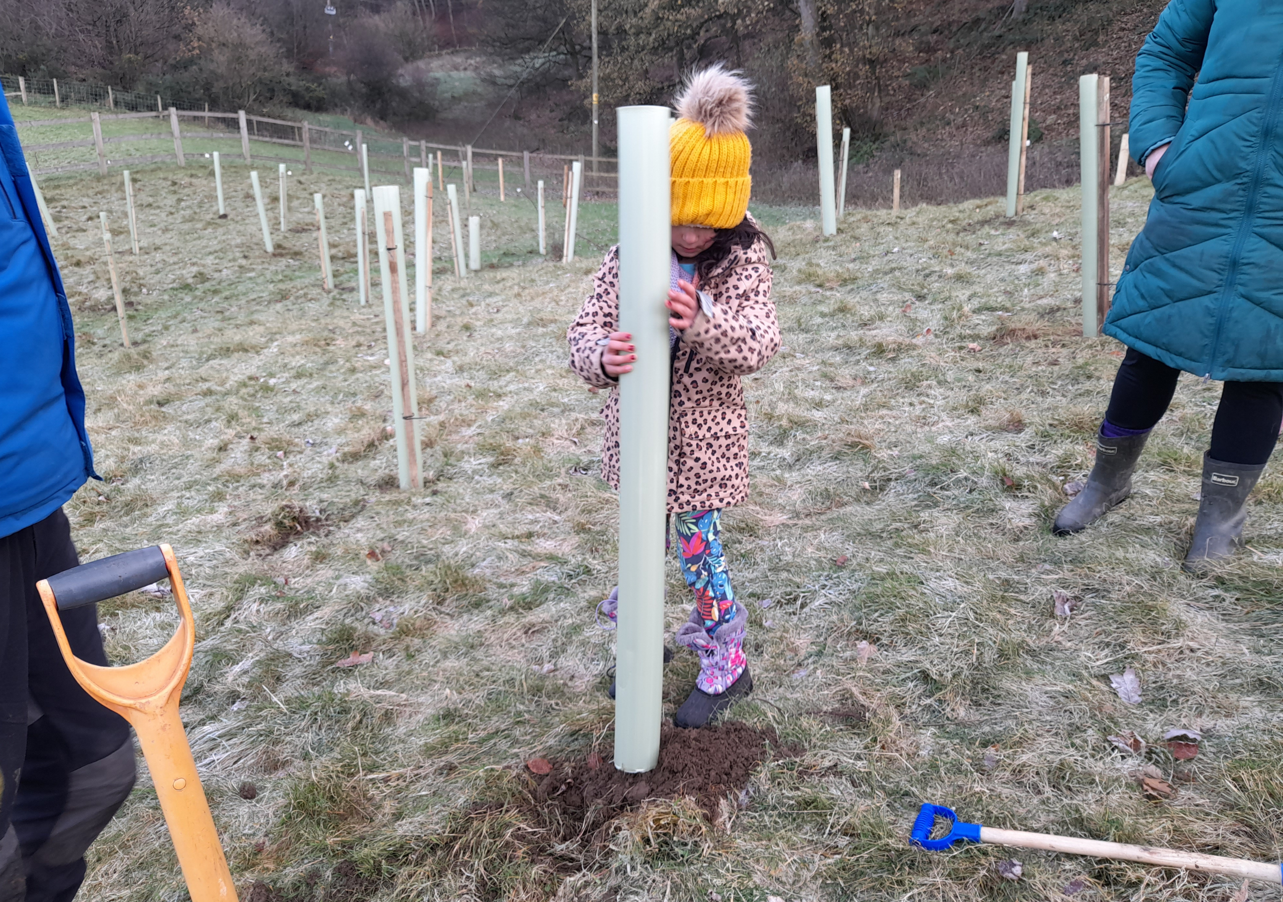 Yorkshire Rewilding Network