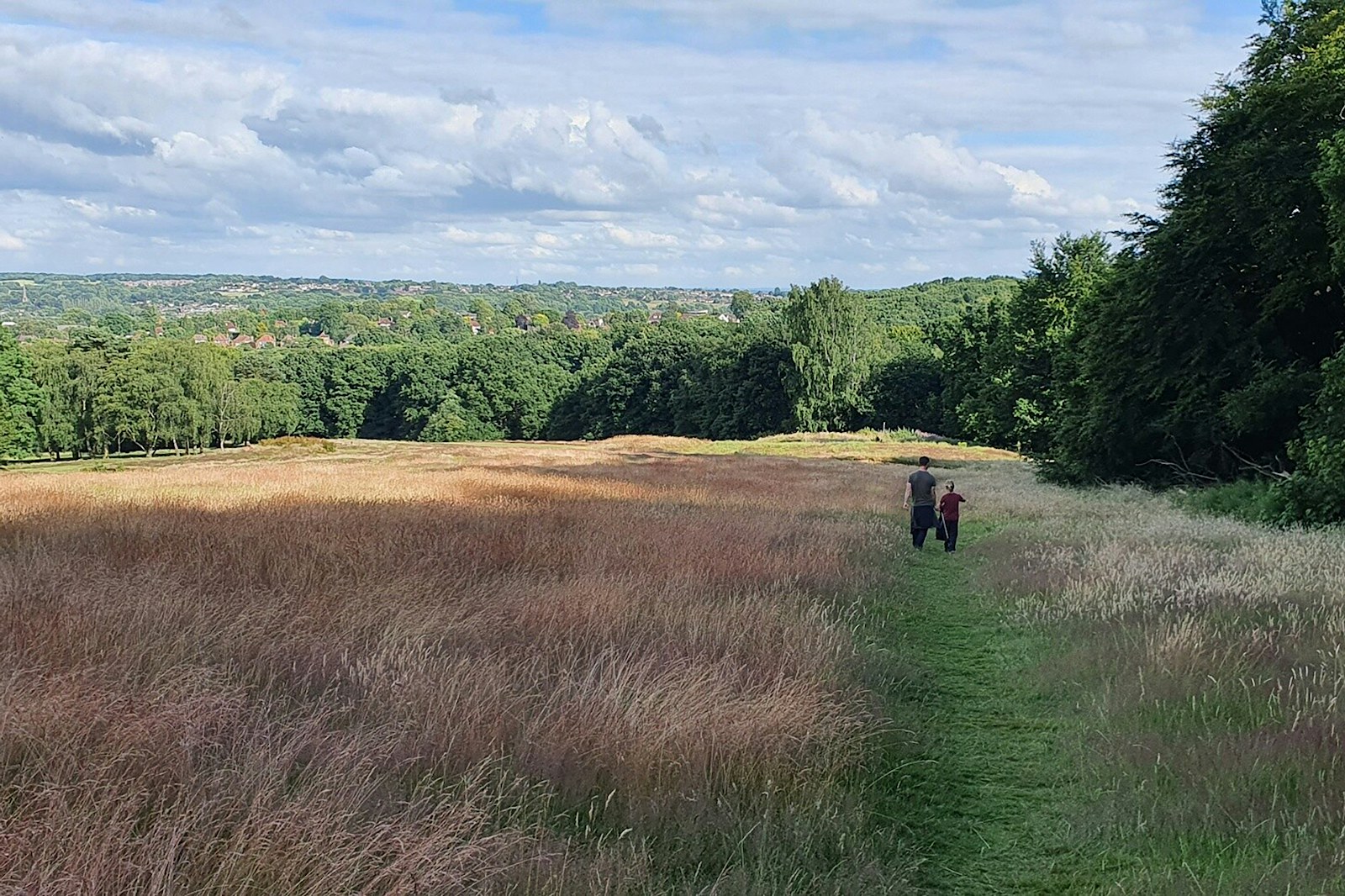 Adult and child walking in Allestree Park