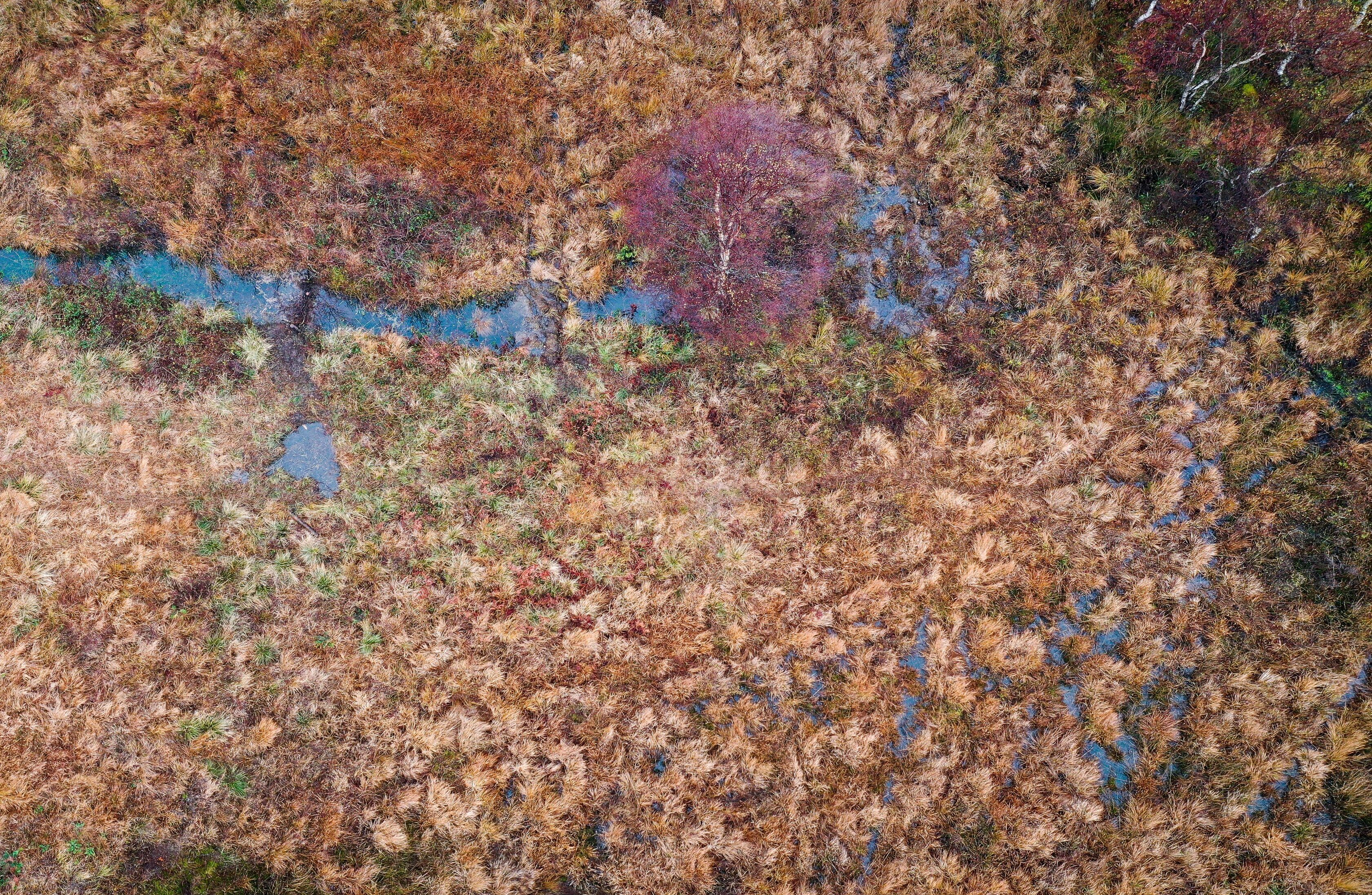 Aerial view of leaky dams.