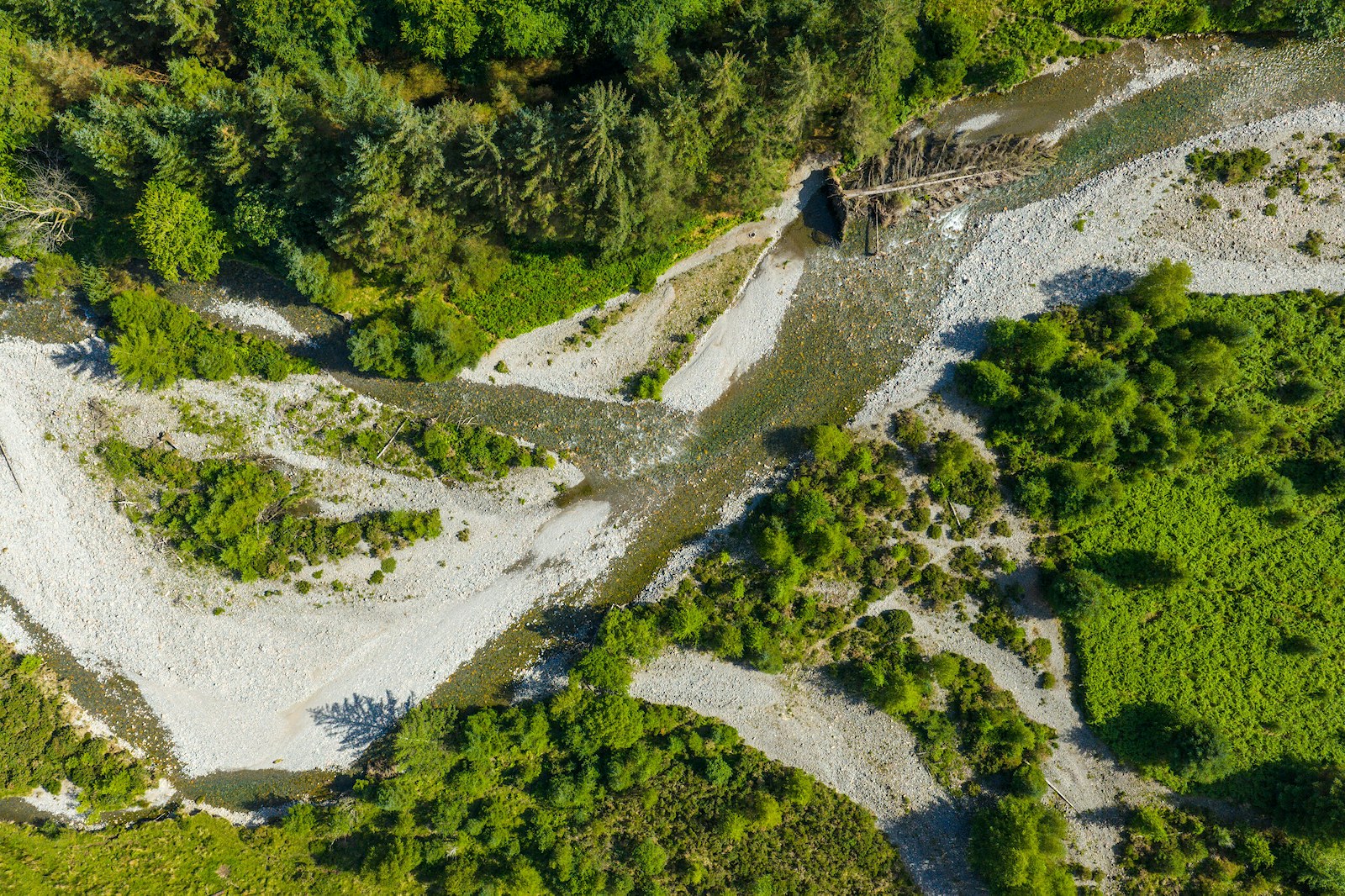 Aerial view of river winding through pine trees at Wild Ennerdale