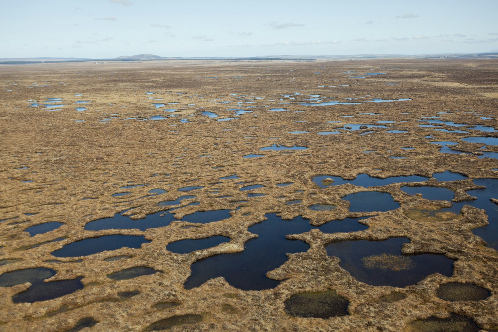 Aerial view across the Flow Country showing peatland pool system, Forsinard, Scotland.