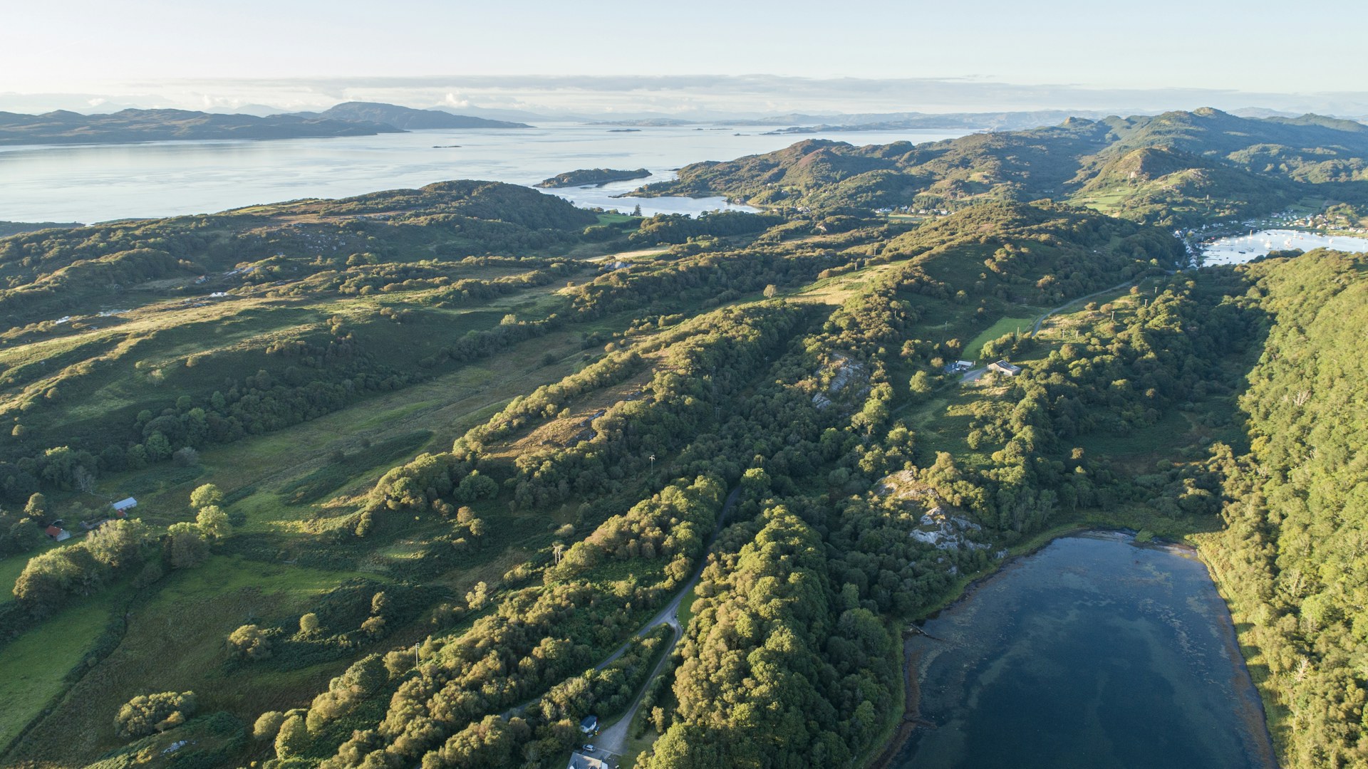 Aerial view of rainforest fragments in Tayvallich, Scotland.