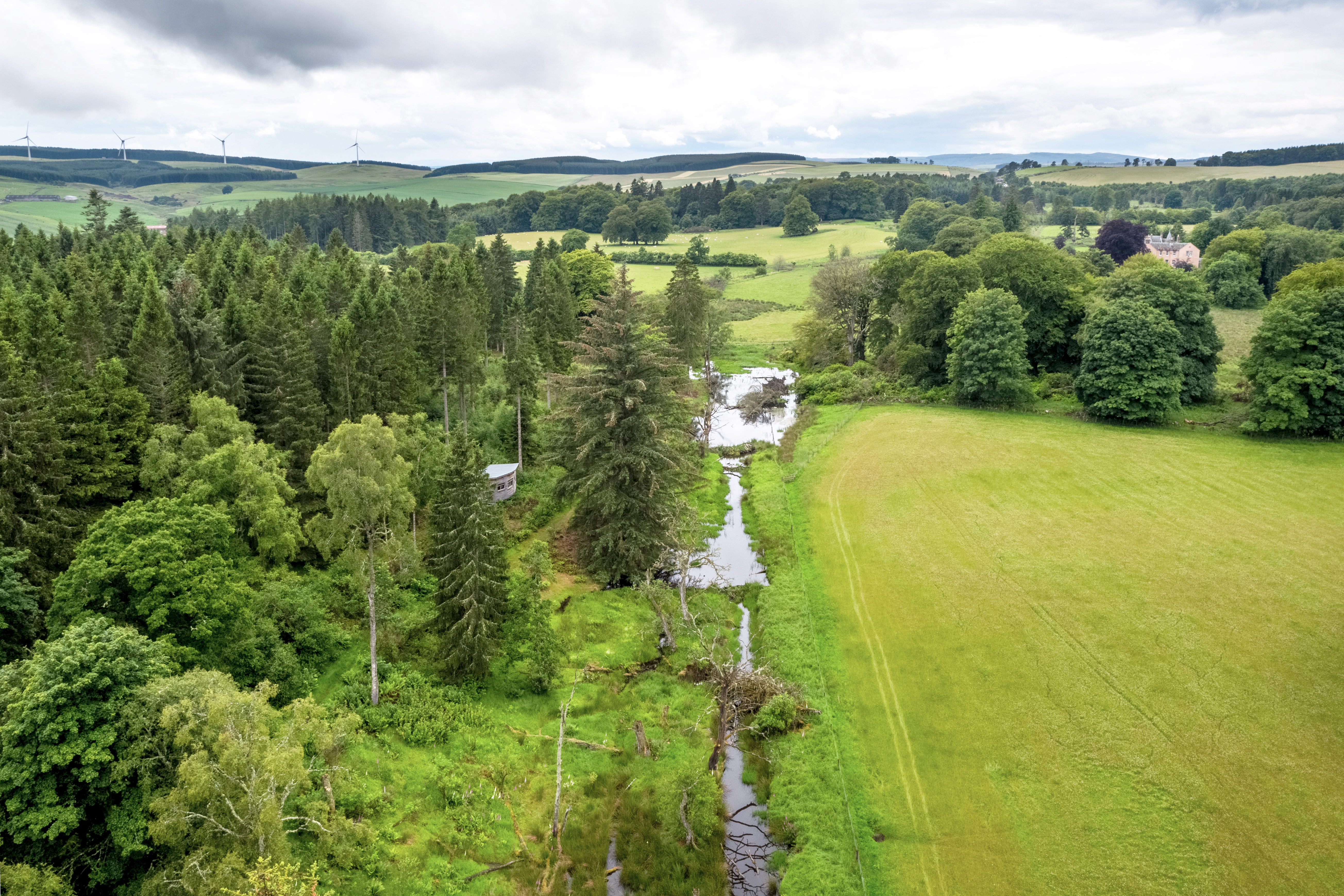 Beaver created wetland amongst woodland and farmland on Bamff Estate, Scotland.