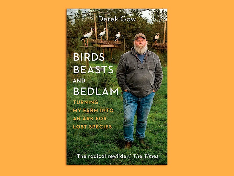 Birds Beasts and Bedlam book cover