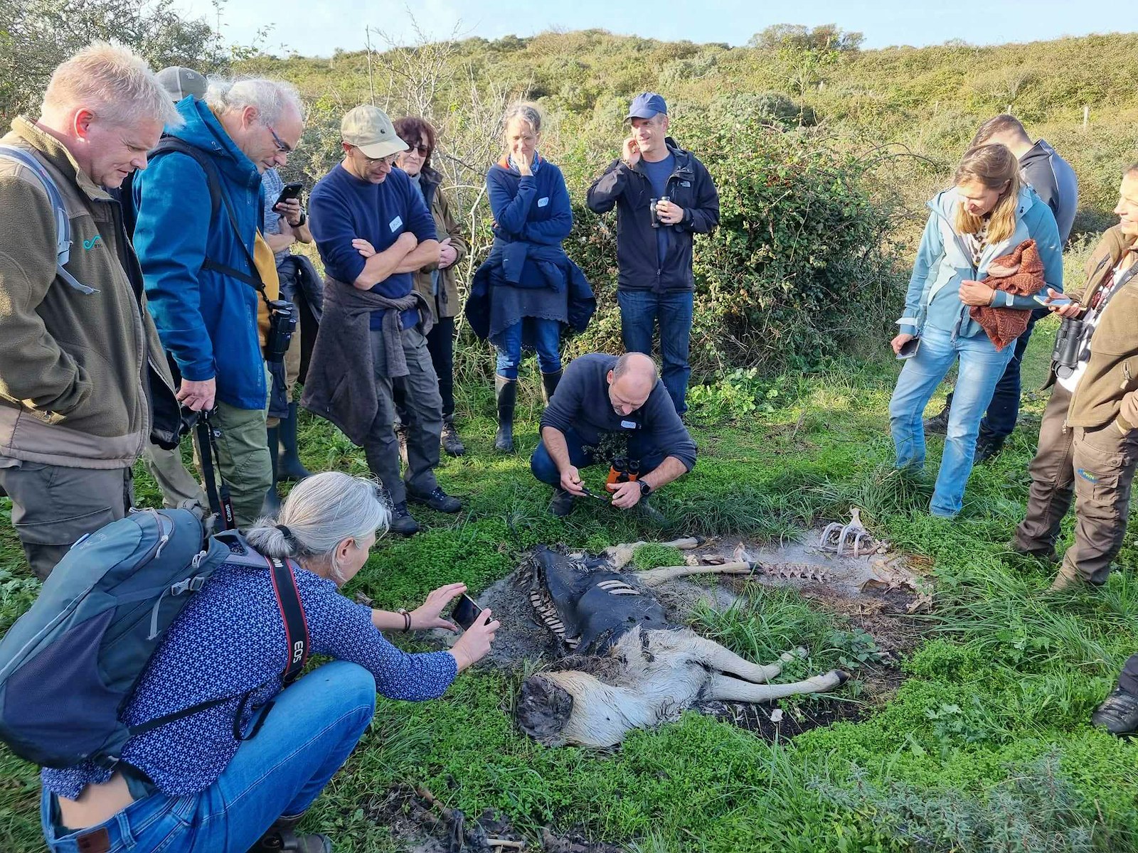 Symposium group around three week old fallow deer carcass, Oranjezon