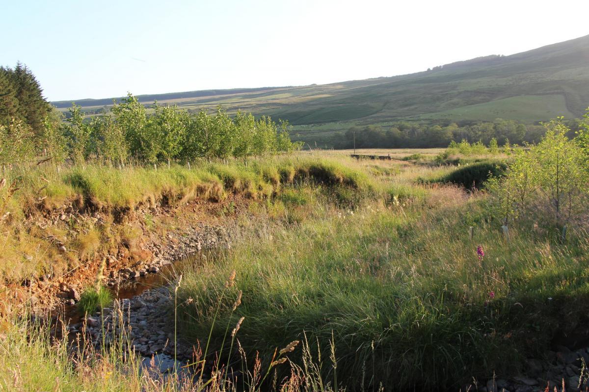 carrifran river replacement