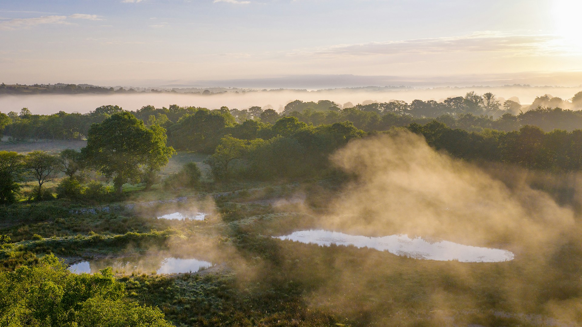 Cefn Garthenor at sunrise