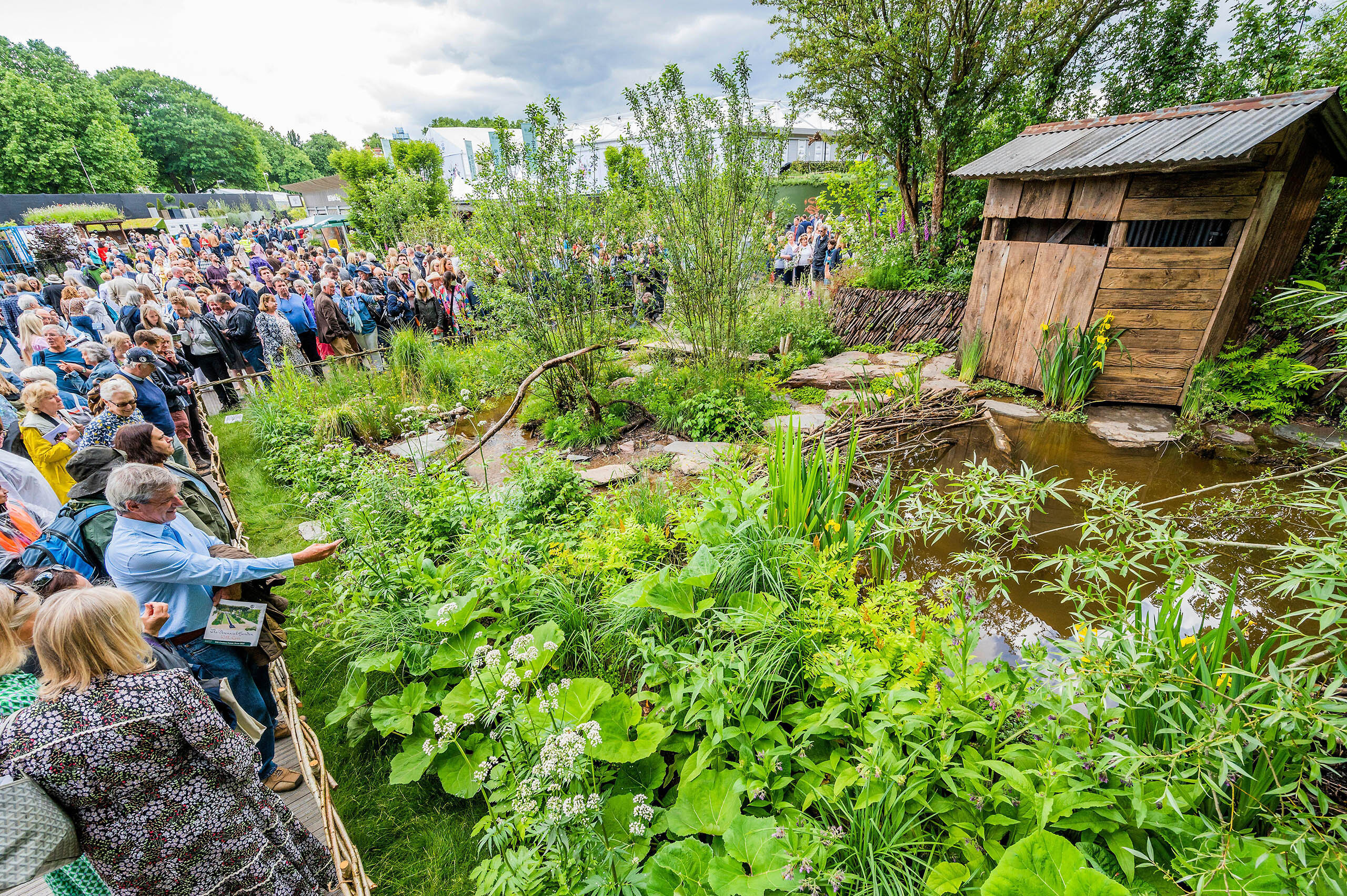 Rewilding garden at Chelsea Flower Show