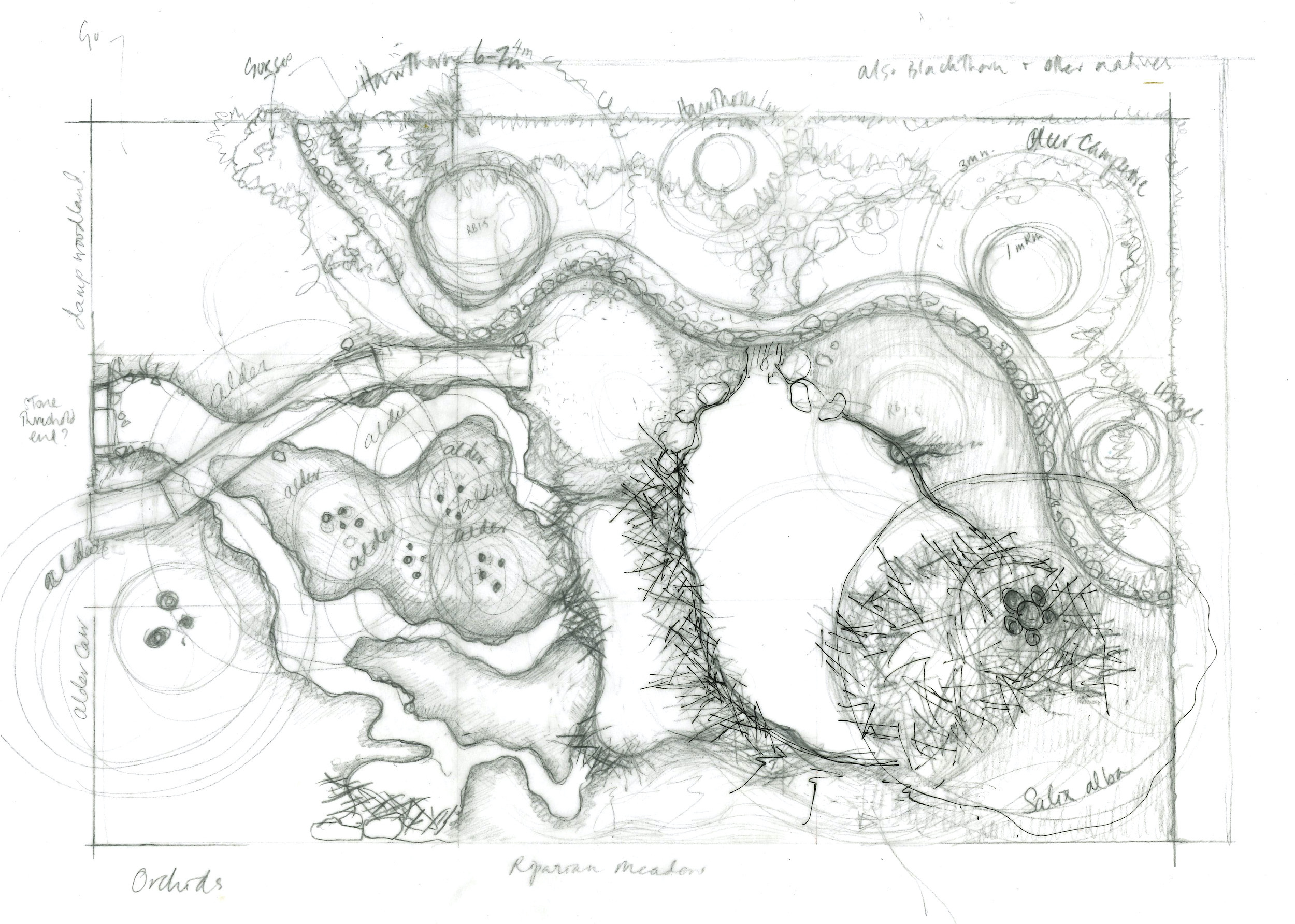 Chelsea garden sketch