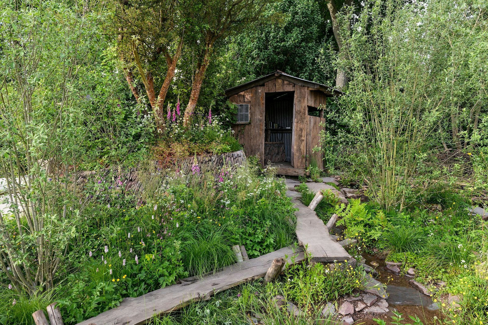 Chelsea rewilding britain garden beaver hide