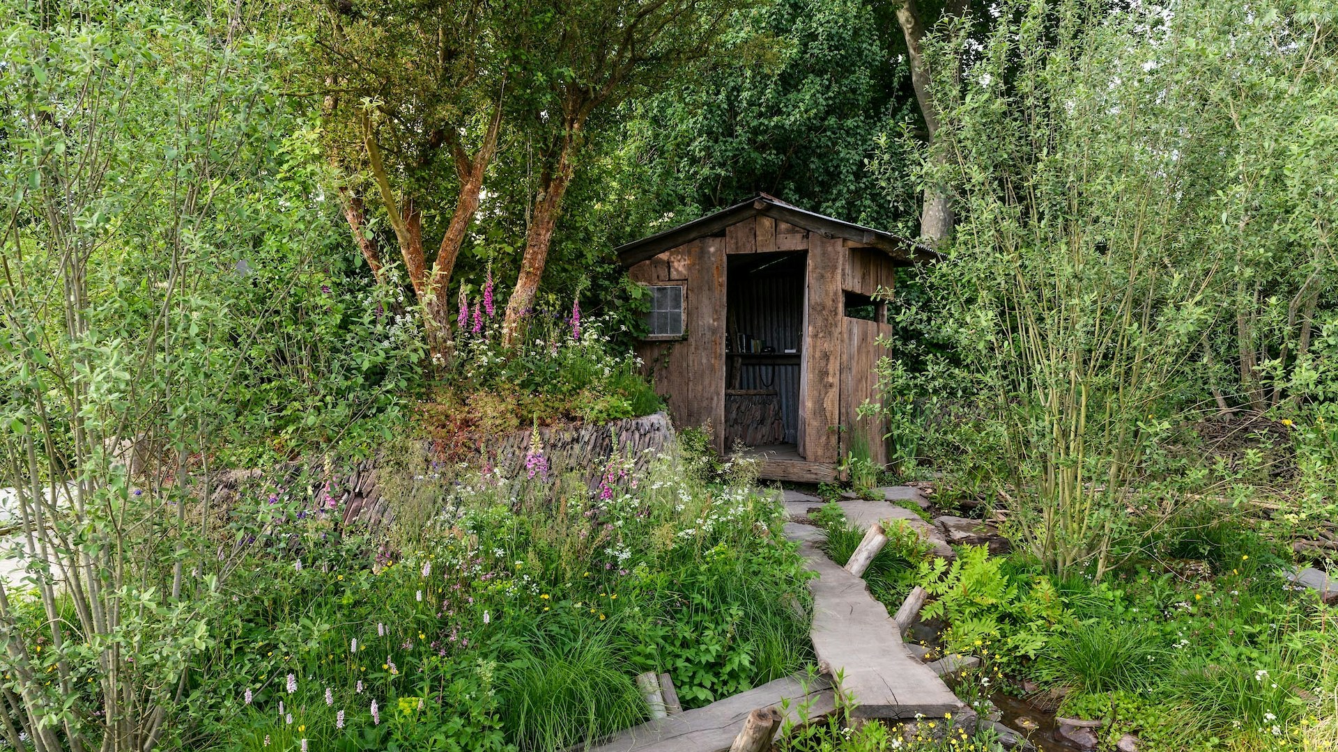 Chelsea rewilding britain garden beaver hide