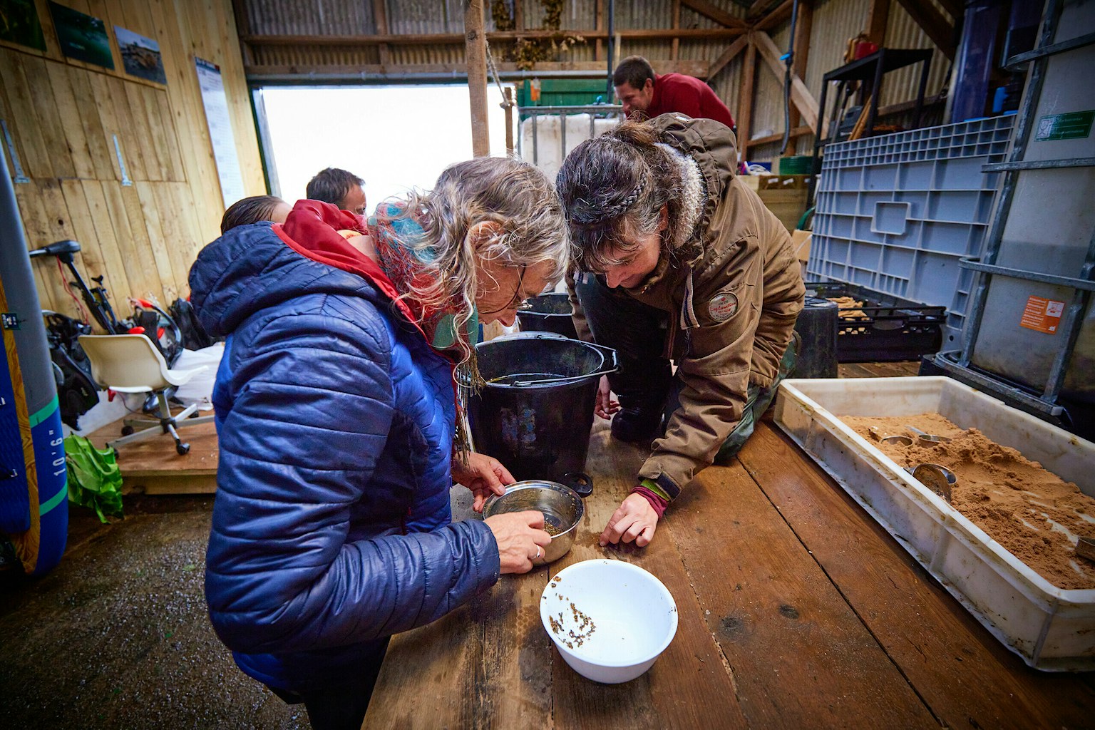 Community led marine restoration