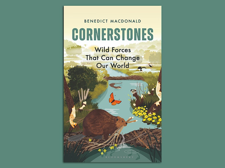 Cornerstones book cover