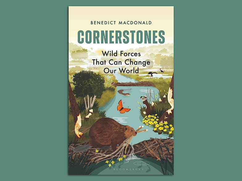 Cornerstones benedict