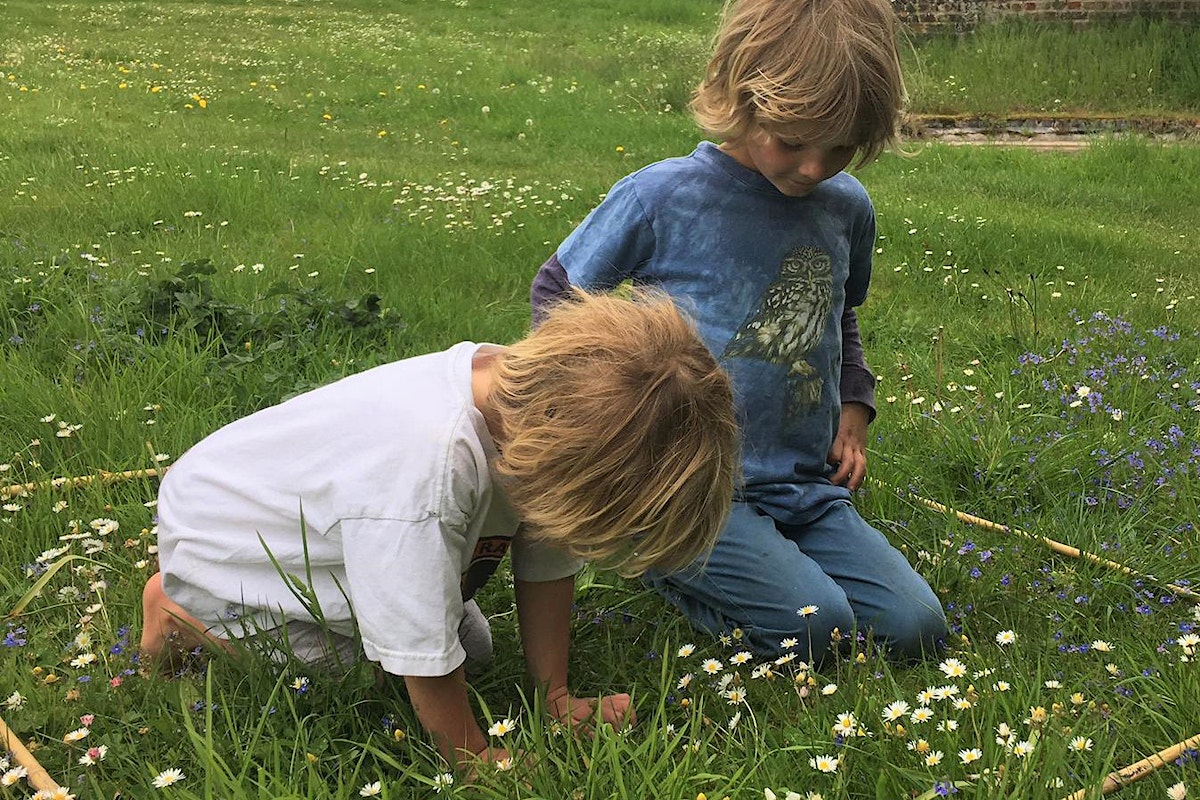 Counting flowers wildflowers