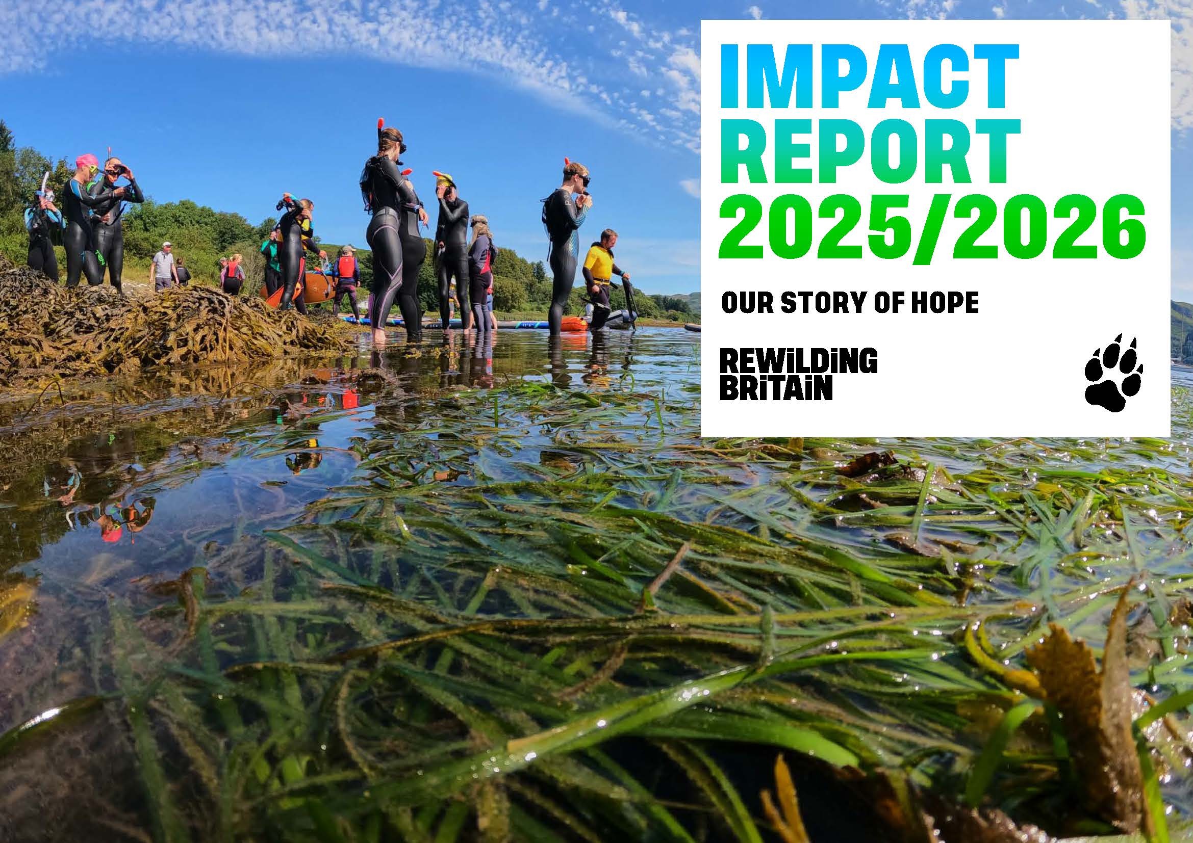 Cover image impact report