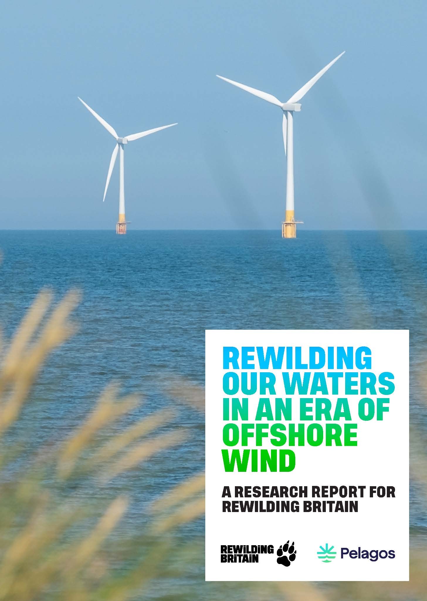 Cover of the research report showing an offshore wind turbine and with the text 'Rewilding our waters in an ear of offshore wind'
