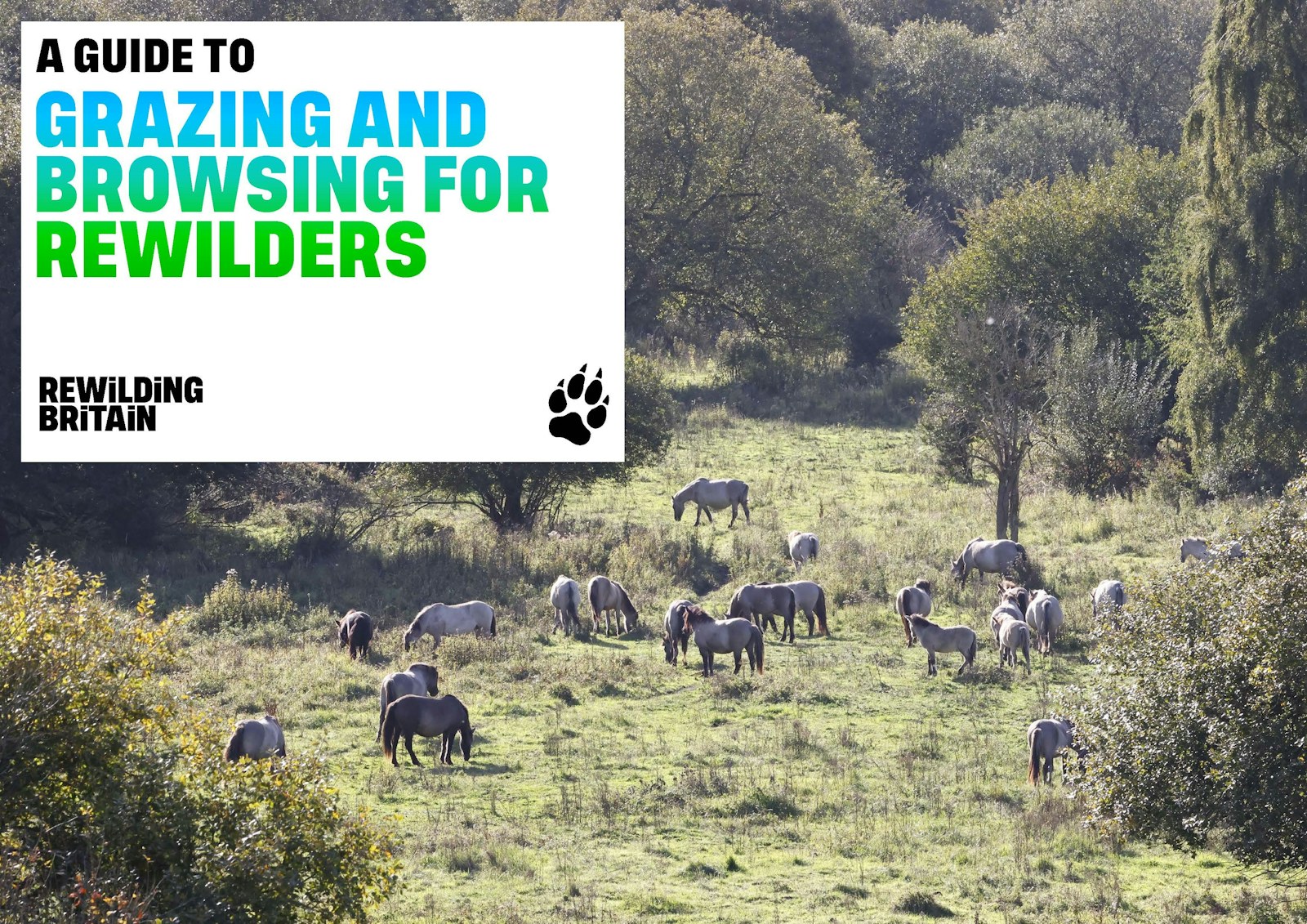 Cover page grazing and browsing guide for rewilders
