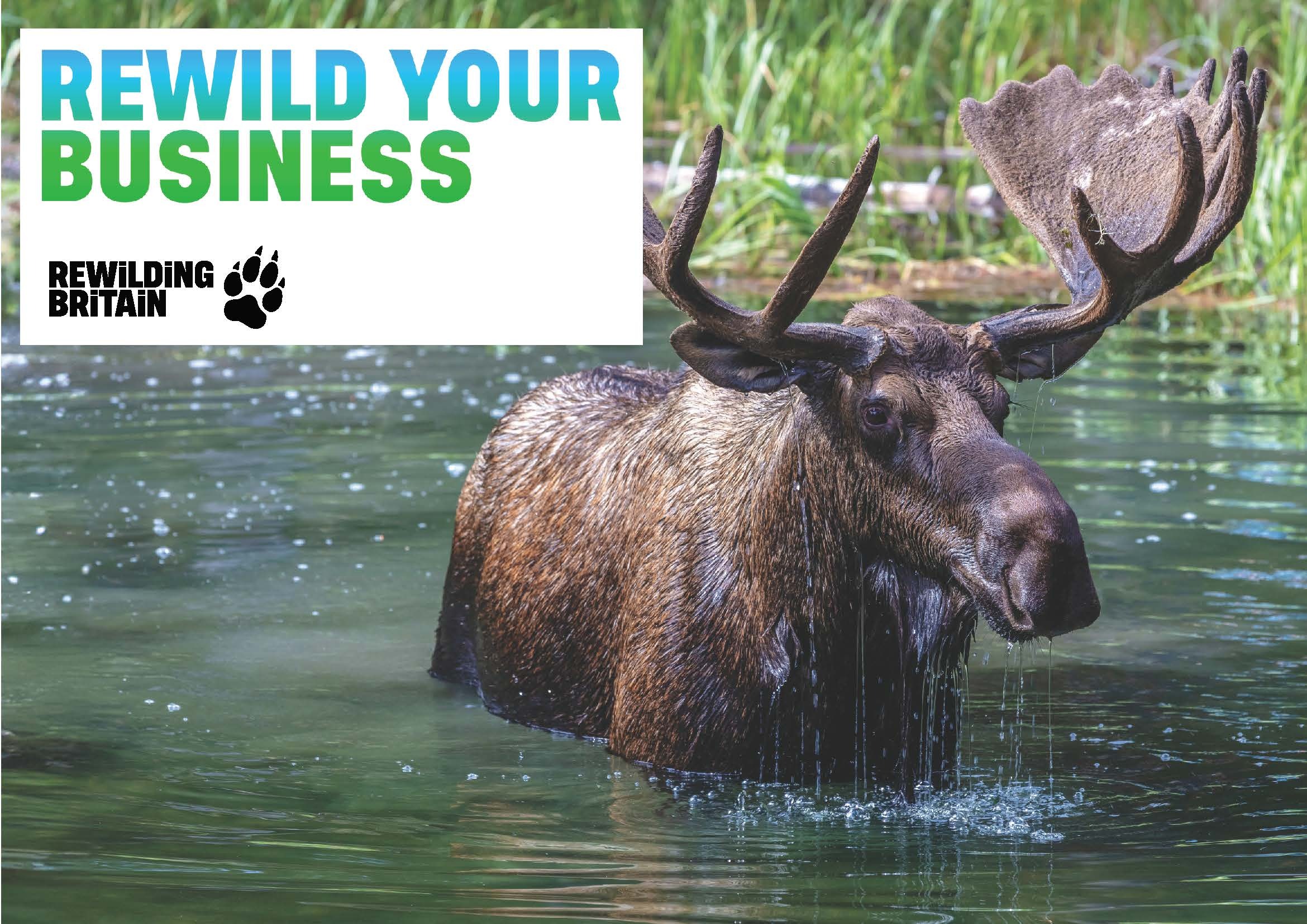 Cover rewild your business 2025