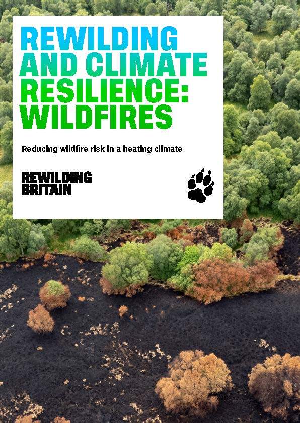 Cover with the text "rewilding and climate resilience: wildfires"