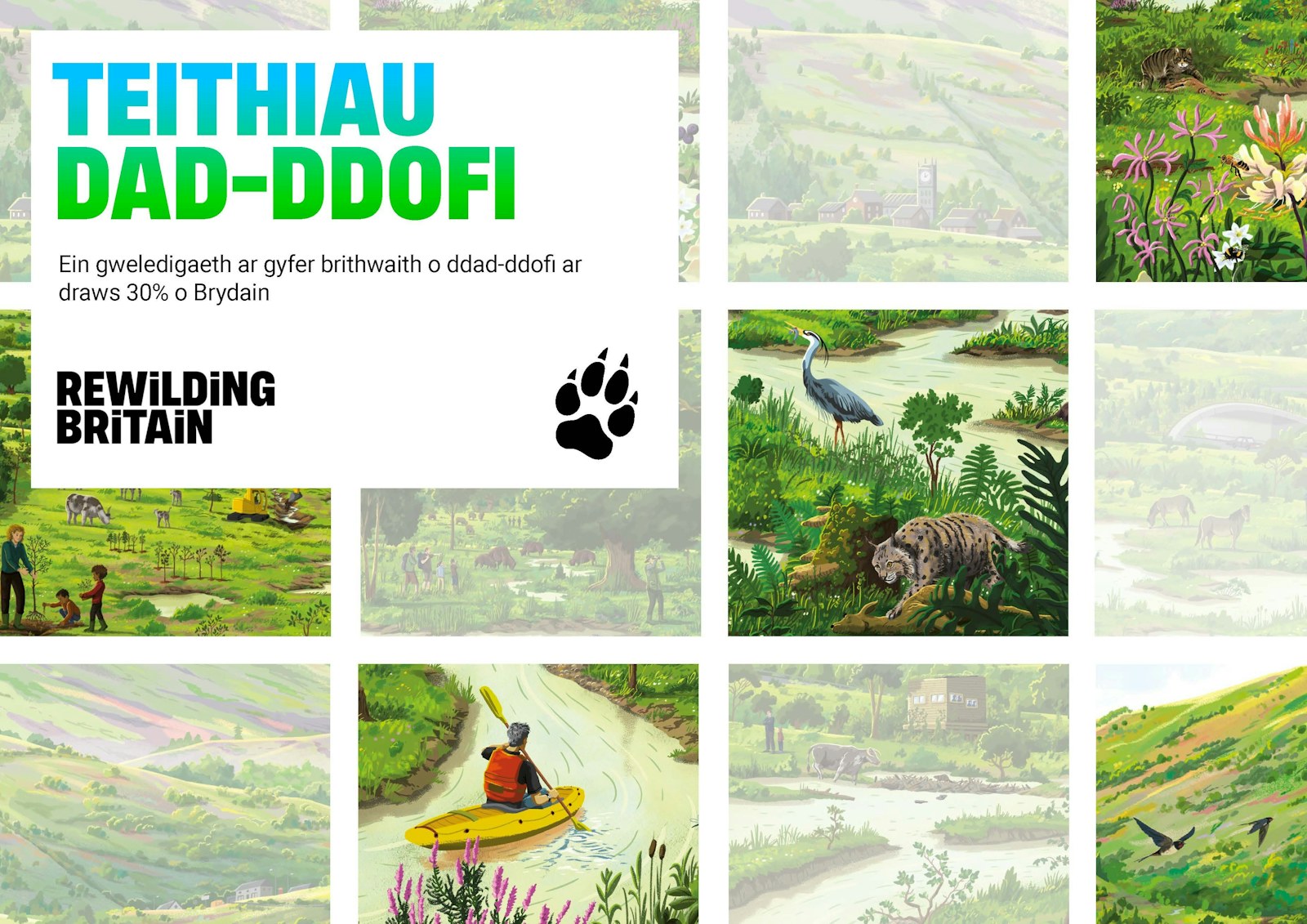 Cover teithiau dad ddofi rewilding britain