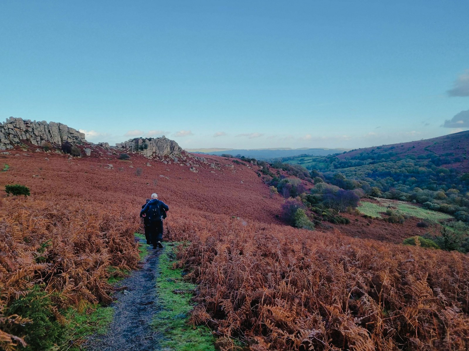 Dartmoor sara king