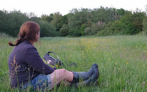 A woman collecting data in a field at Knepp Wildland