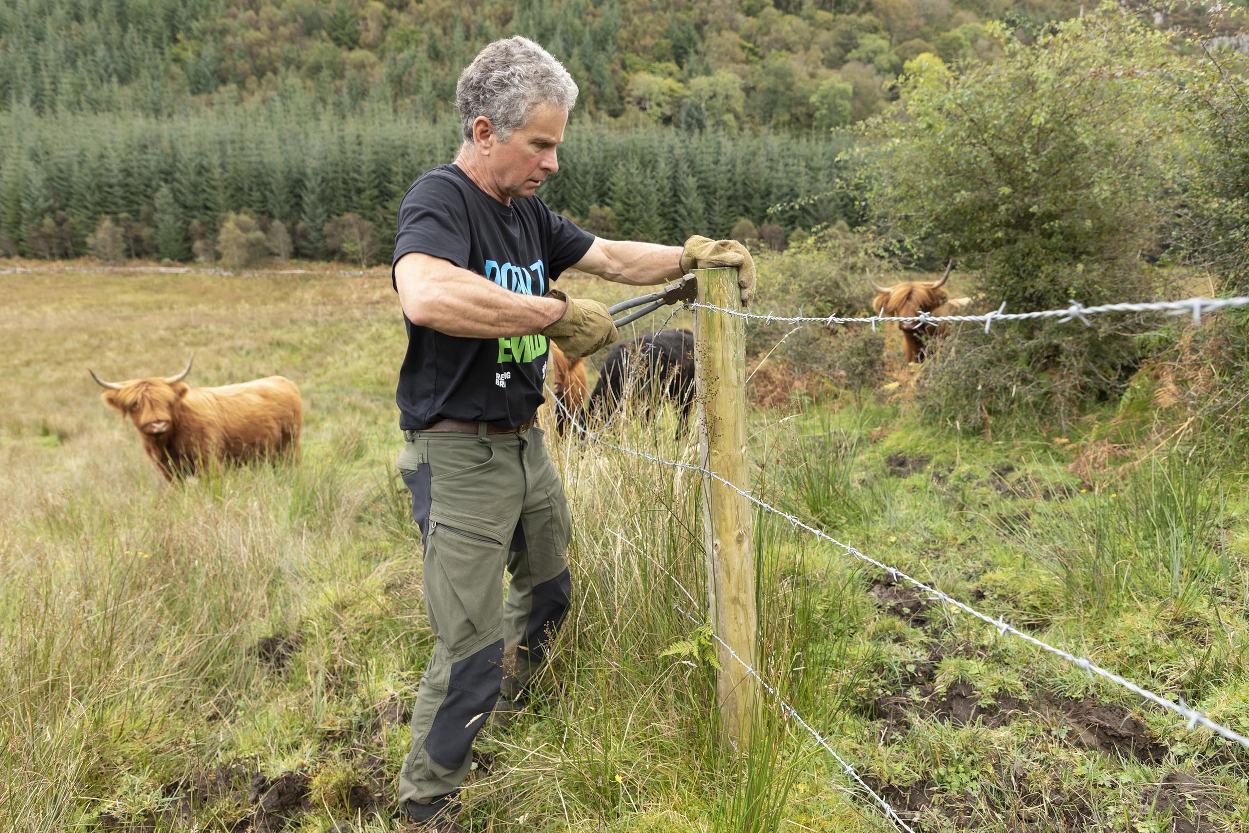 David Stewart removing fencing