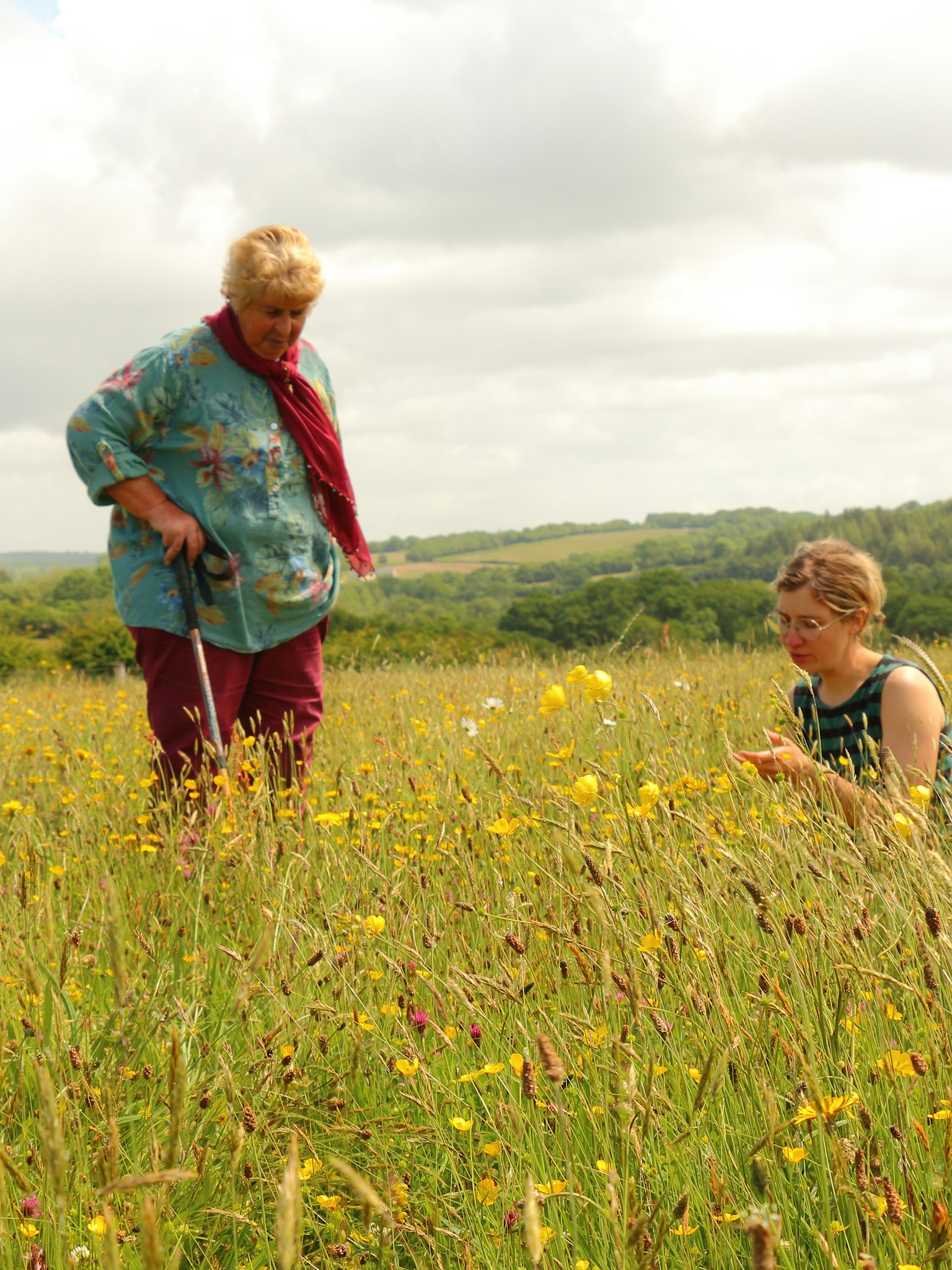 Val Green, Eti Meacock, Dorette Engi and Olly Walker on mob grazed hay meadow Dayshul Brake