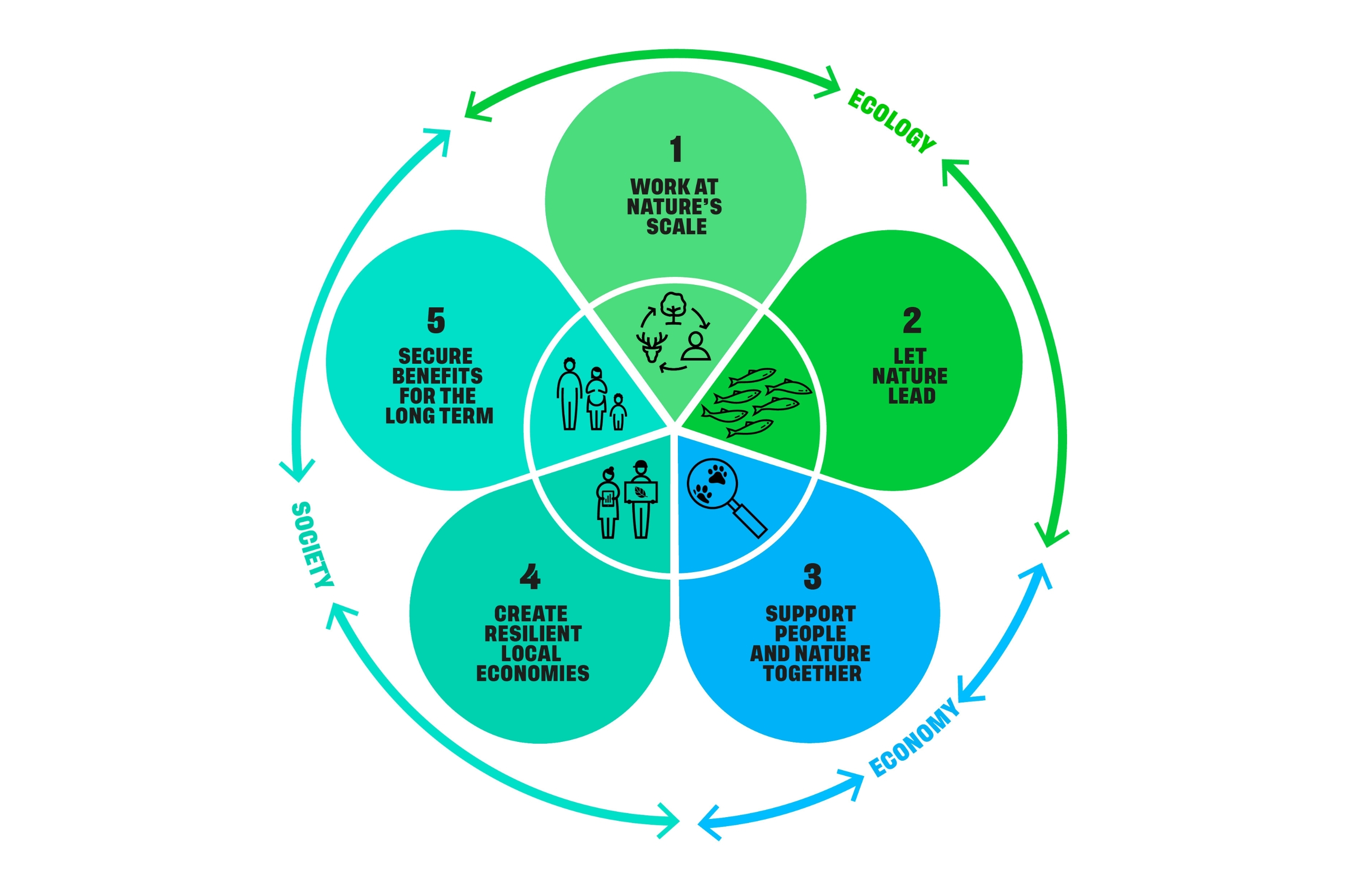 Petal diagram of the five rewilding objectives of the rewilding monitoring framework: Work at nature's scale; Let nature lead: Support people and nature together; Create resilient local economies; Secure benefits for the long term
