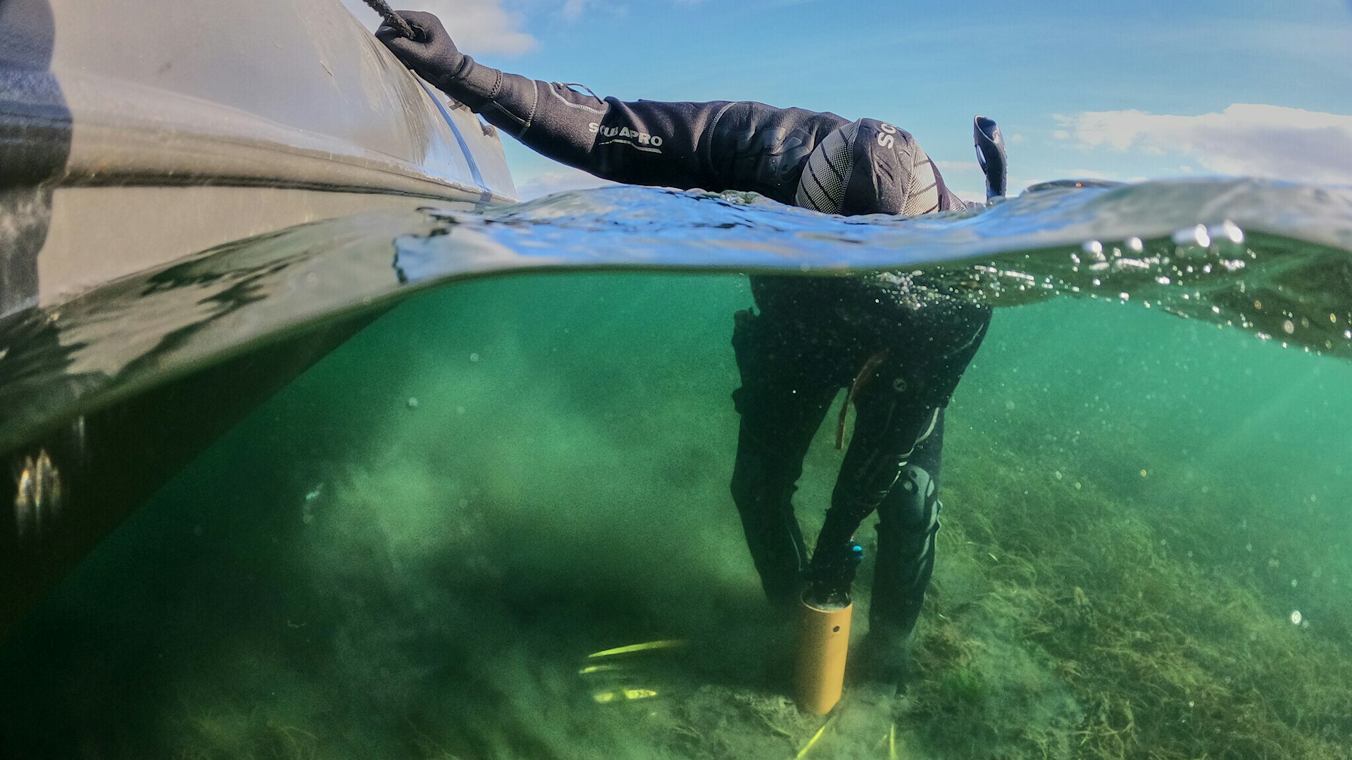 Scientific diver collecting benthic core samples in a seagrass bed