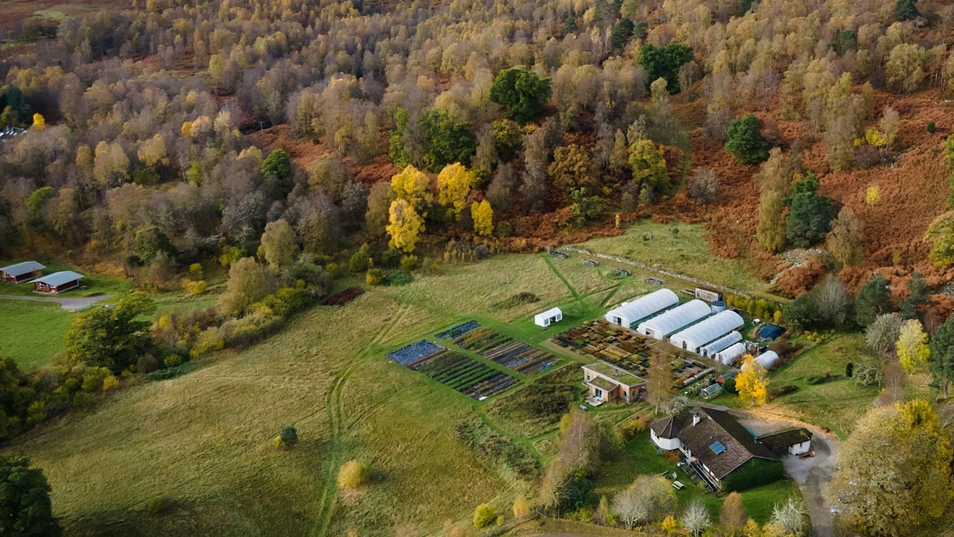 Dundreggan tree nursery aerial view