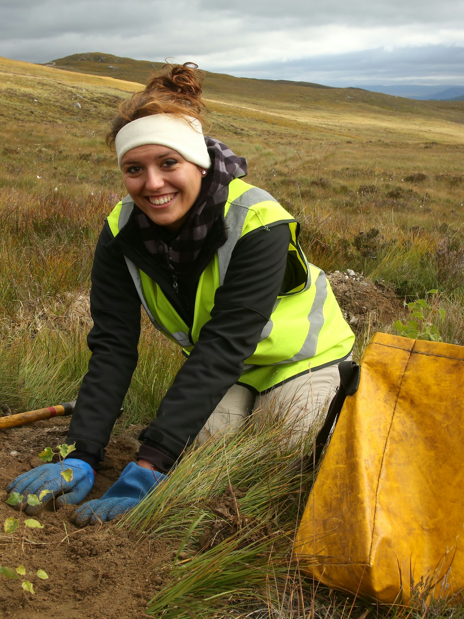 dundreggan tree planting