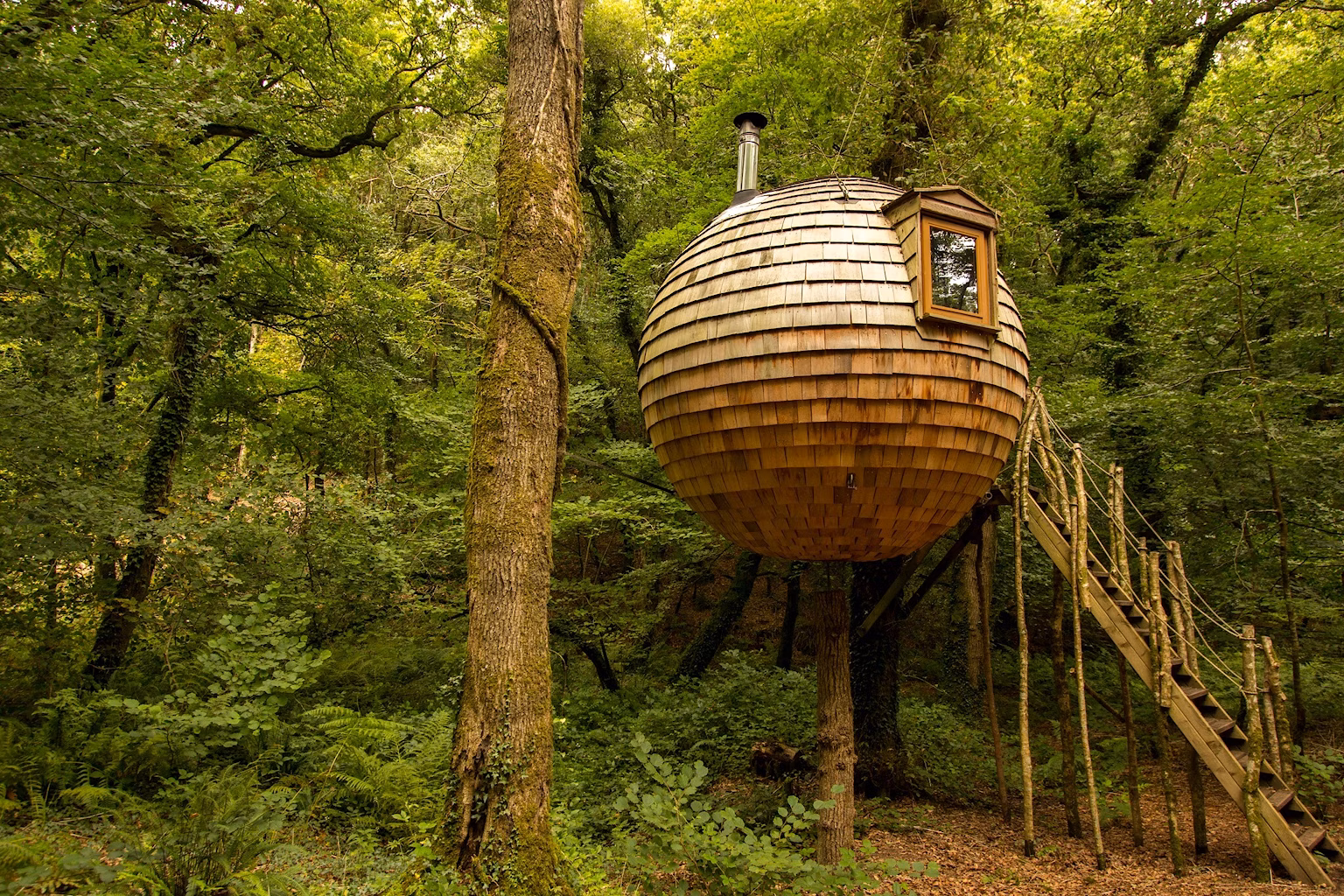 Eco tourism treehouse canopy and stars