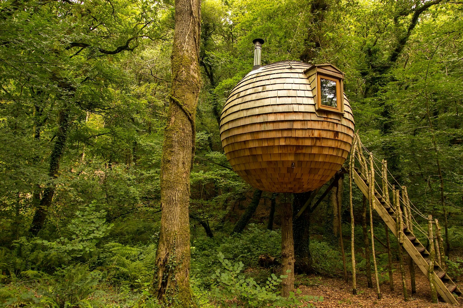 Eco tourism treehouse canopy and stars