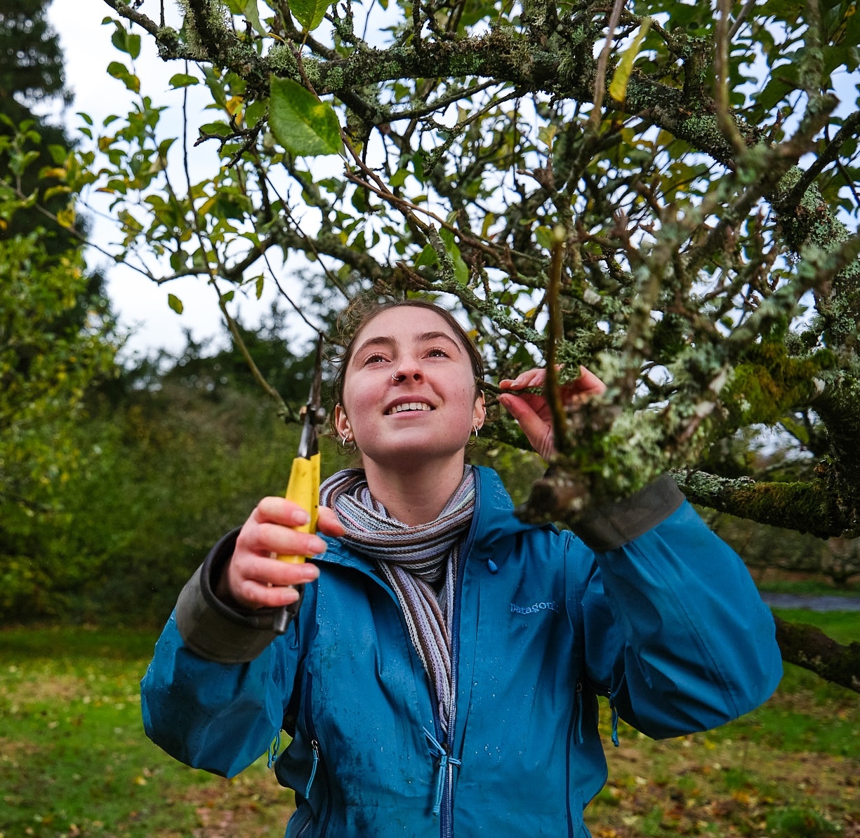 Ella Davies tending to a tree