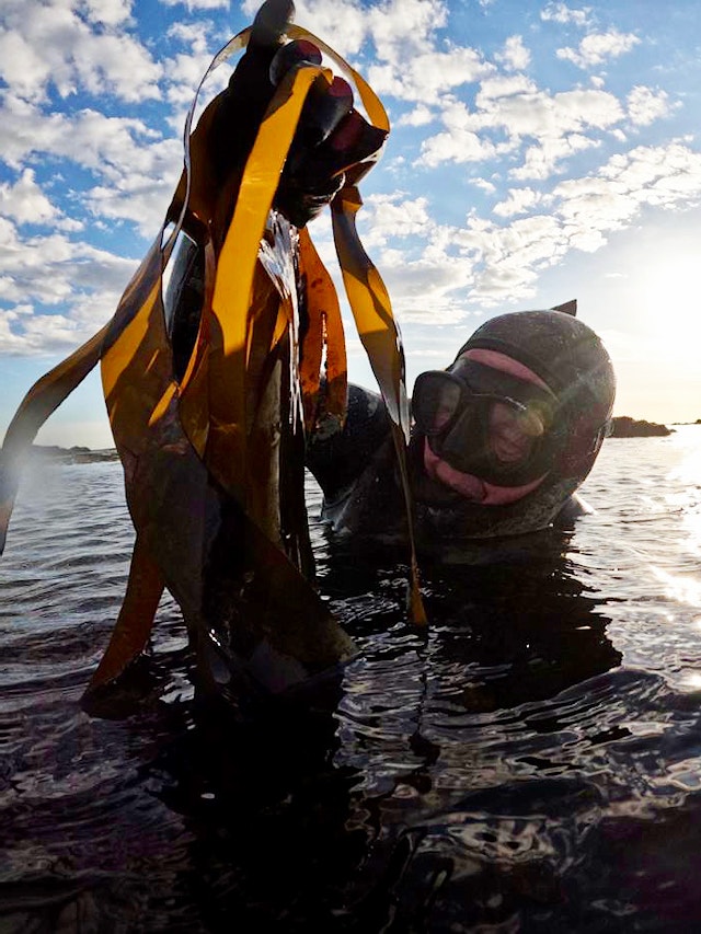Freediver Eric Smith emerging from the water holding kelp
