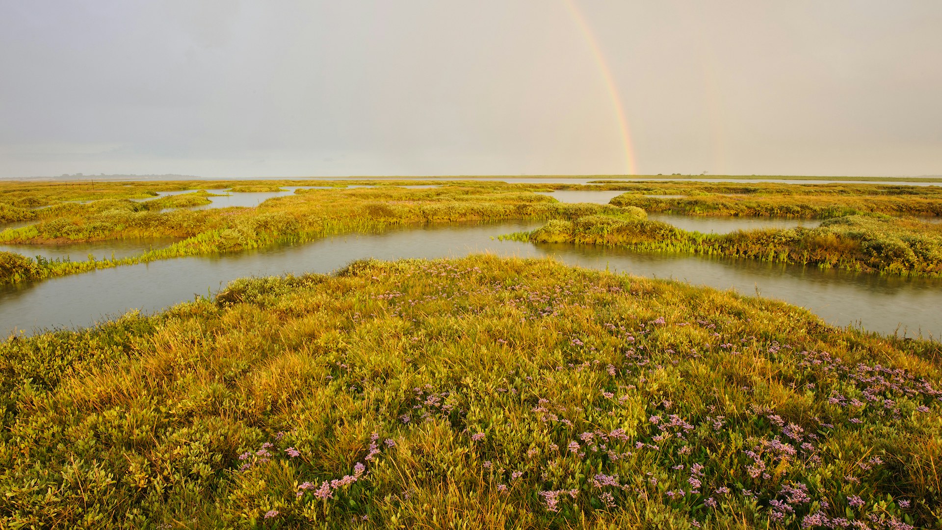 Estuary