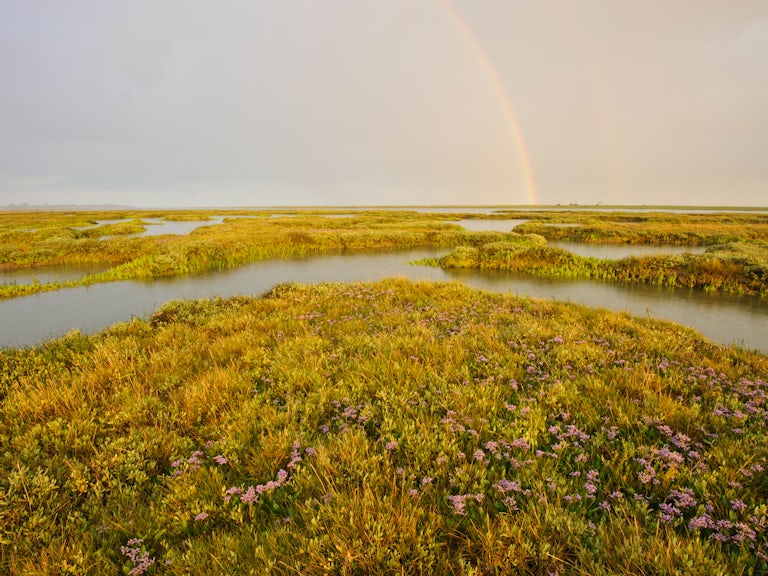 Estuary