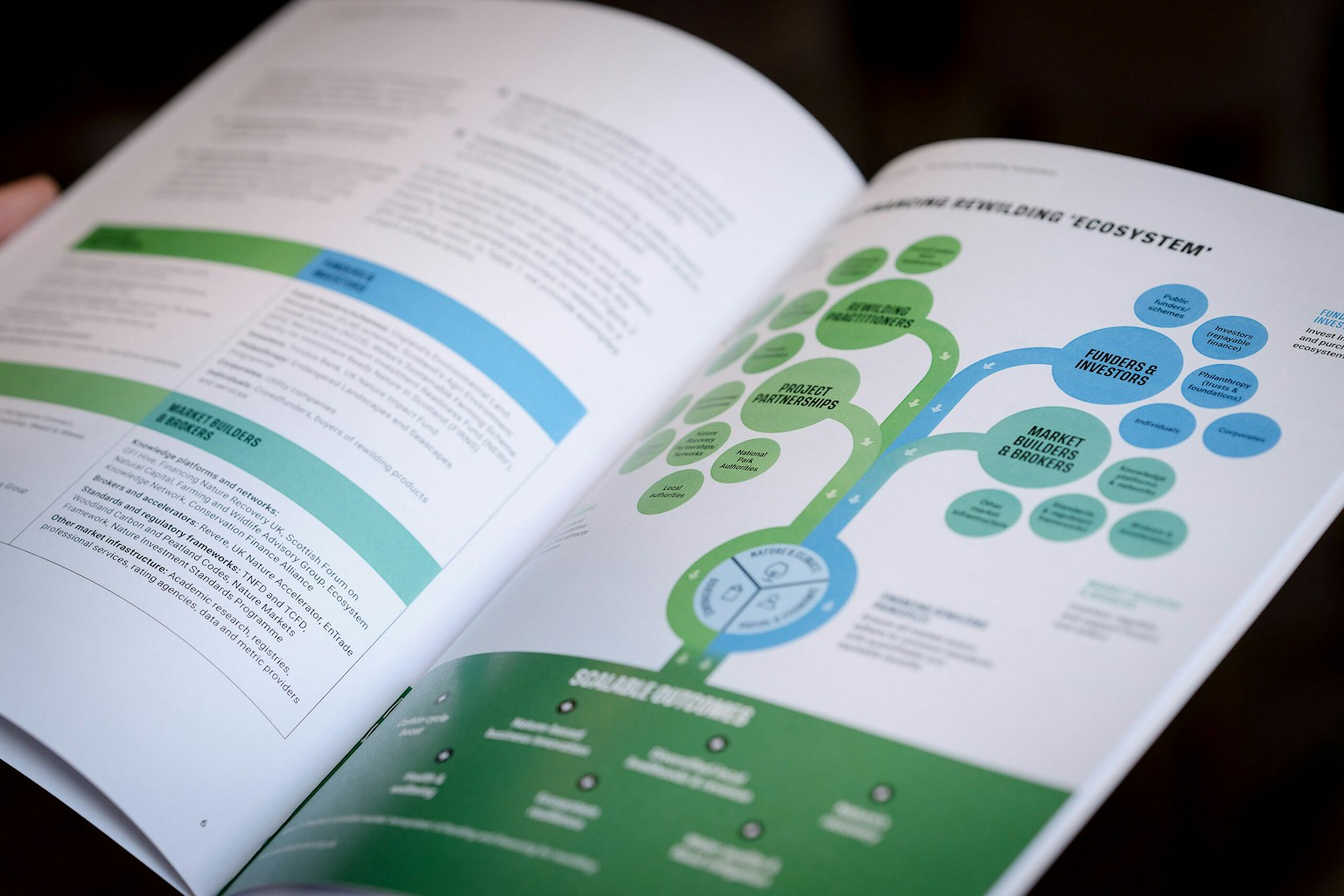 Finance Rewilding 'Ecosystem' page from the Rewilding Finance report