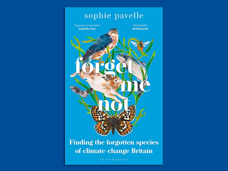 Forget me not book cover