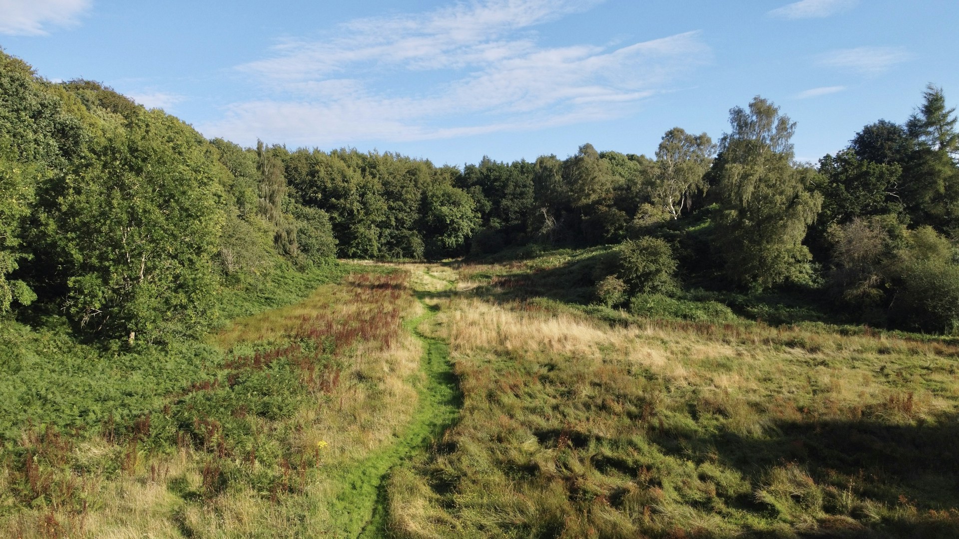 Wiltshire landscape