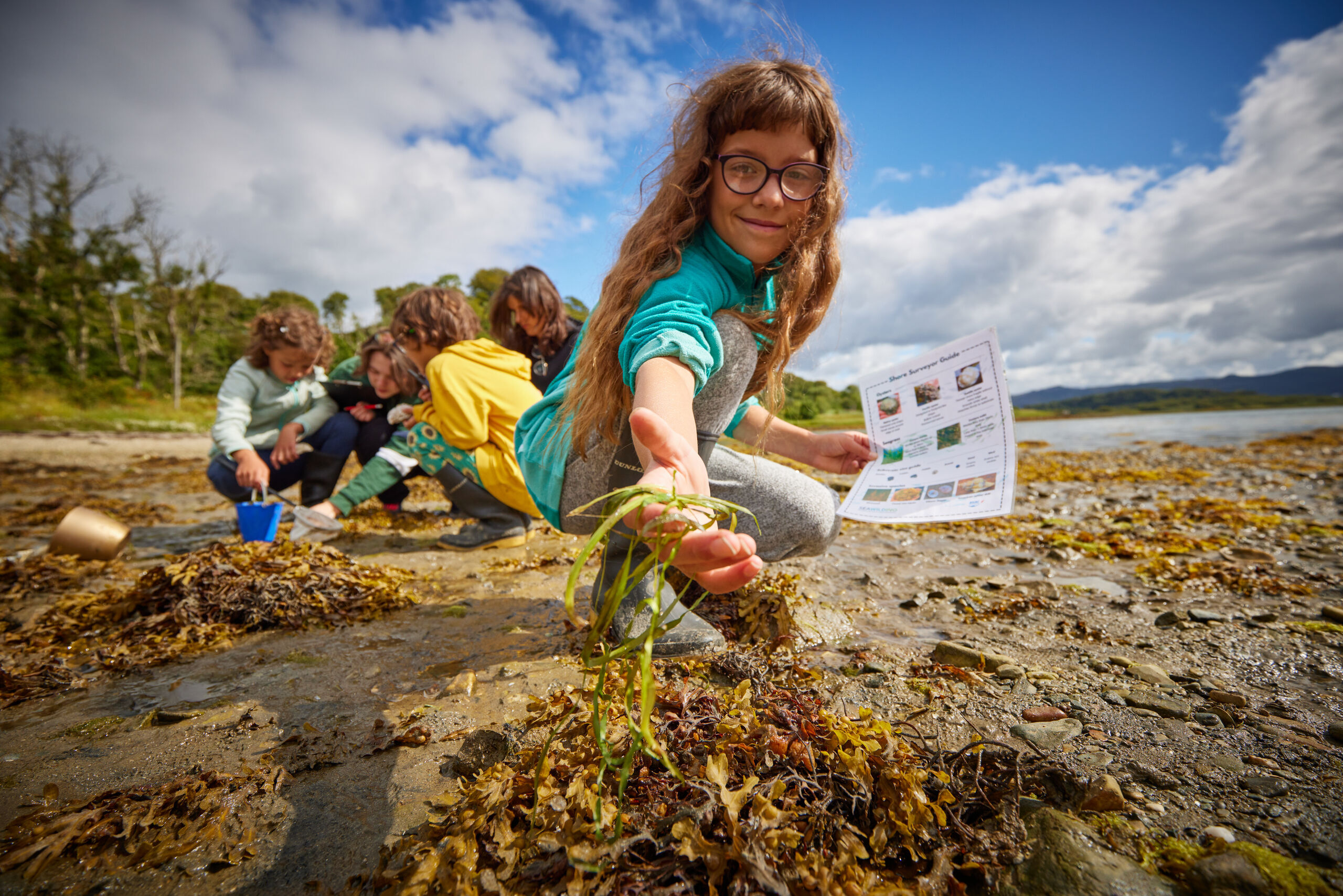 Young girl identifying seagrass on a beach