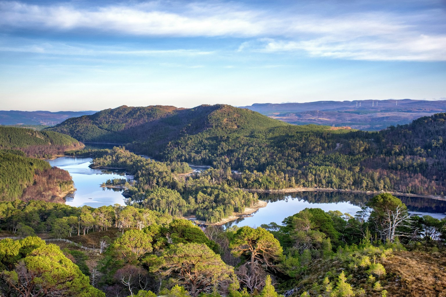 Glen Affric