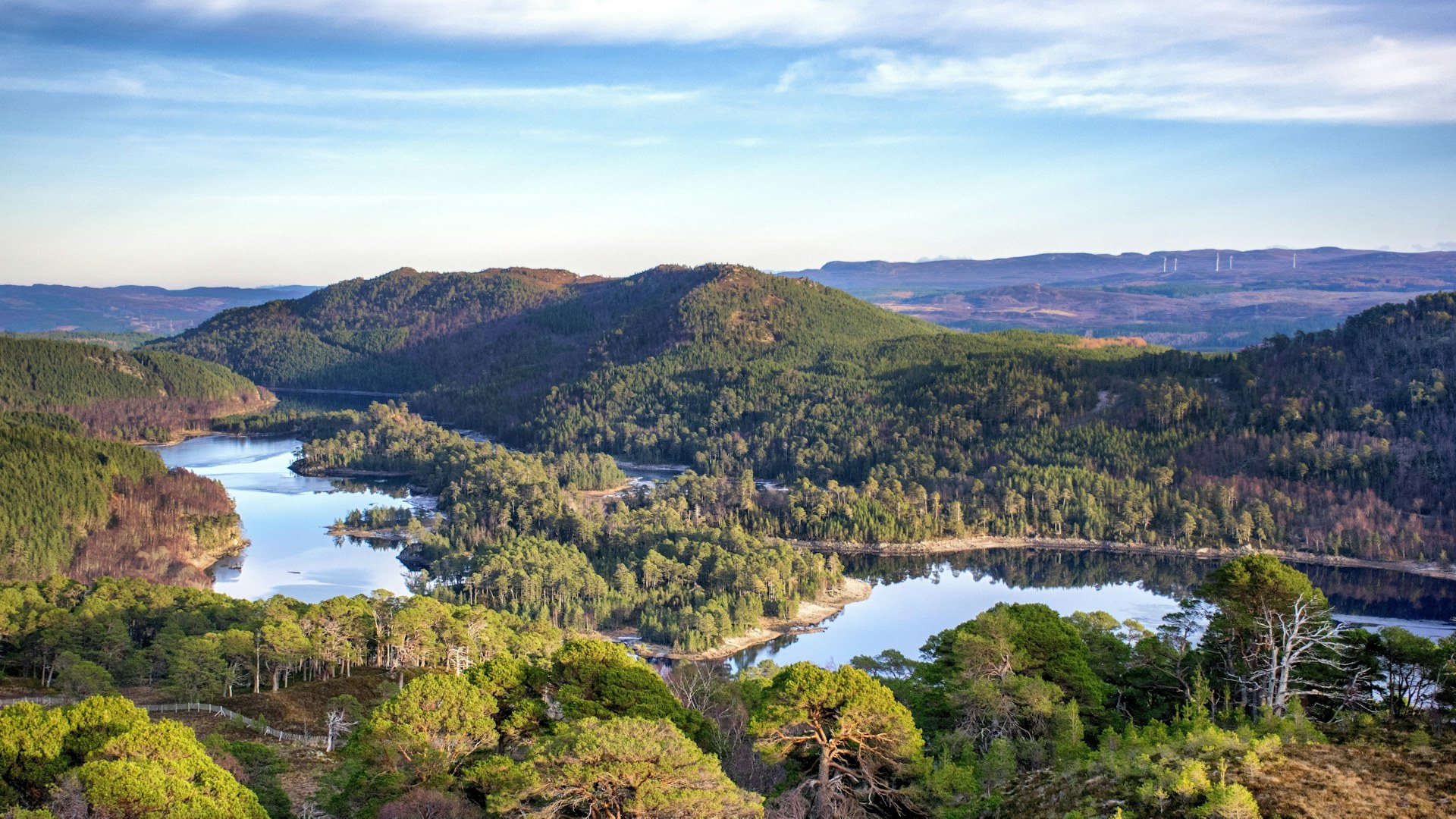 Glen Affric