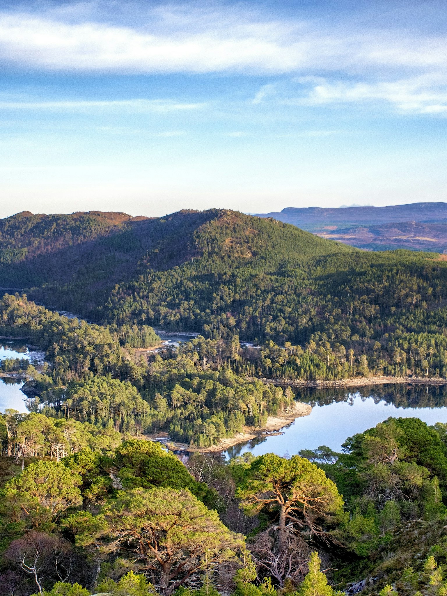 Glen Affric