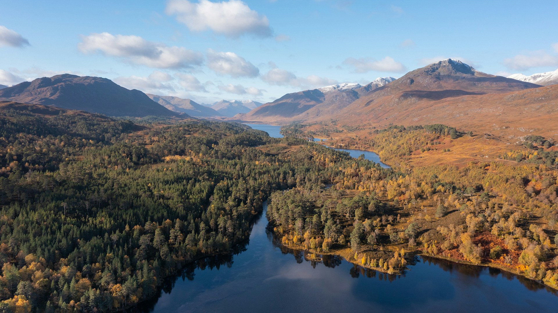 Glen affric national nature reserve