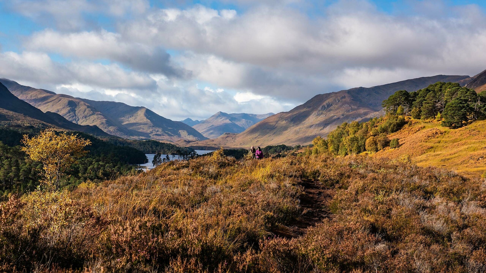 Glen Affric, Scotland