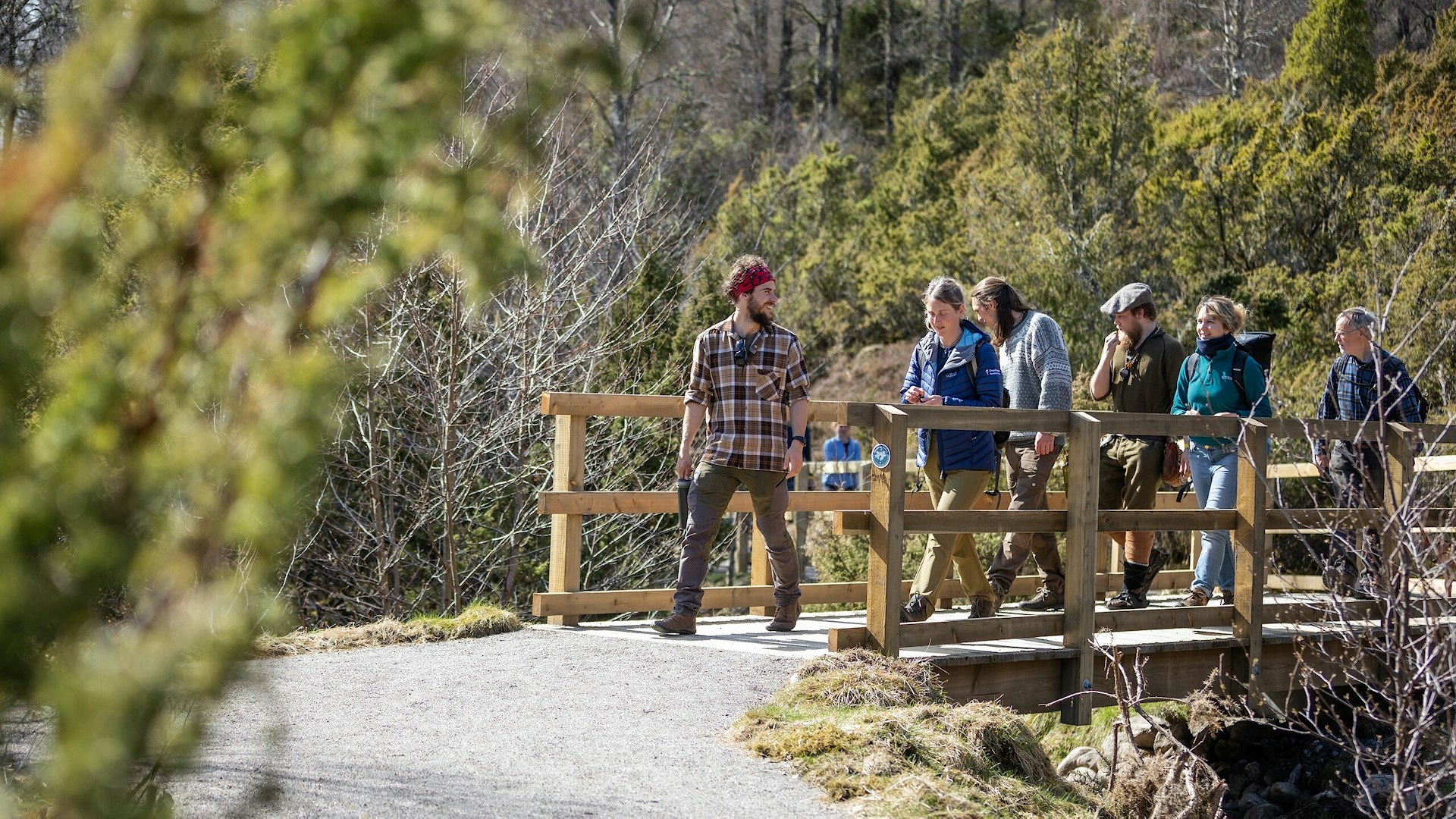 Guided rewilding walking